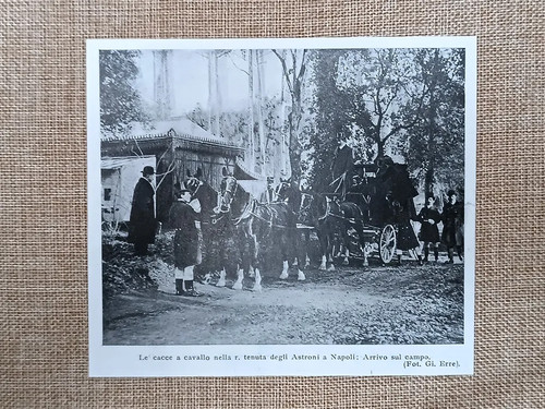 Cacce cavallo nella - a,