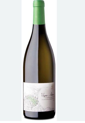 Falanghina vigna astroni - falanghina, ‘vigna